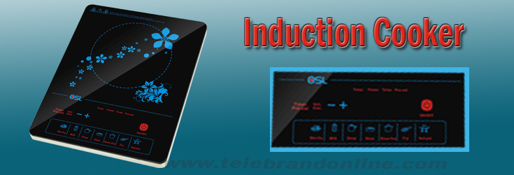 Induction Cooker 